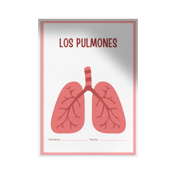 Los pulmones