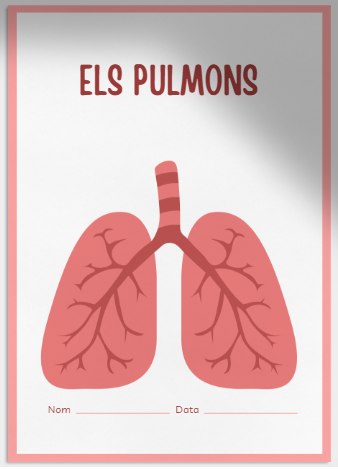Els pulmons