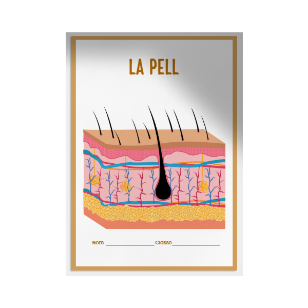 La pell