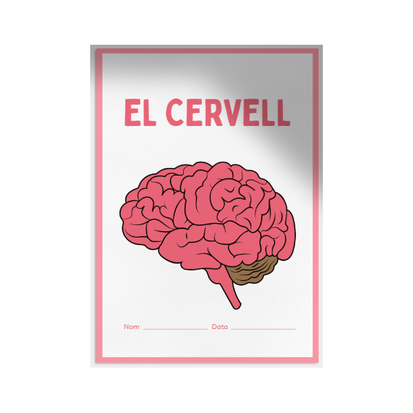 El cervell