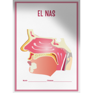 El nas