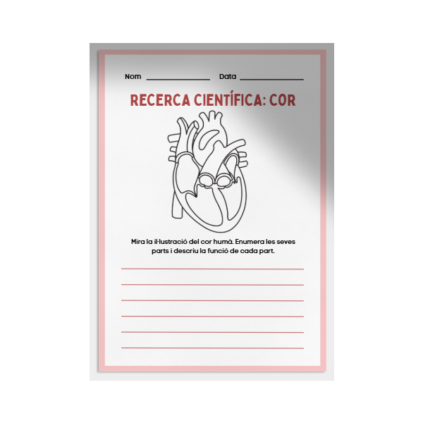 Investigació del cos humà