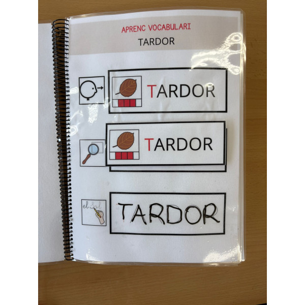 Aprenc vocabulari de tardor TEACCH