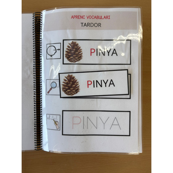 Aprenc vocabulari de tardor TEACCH