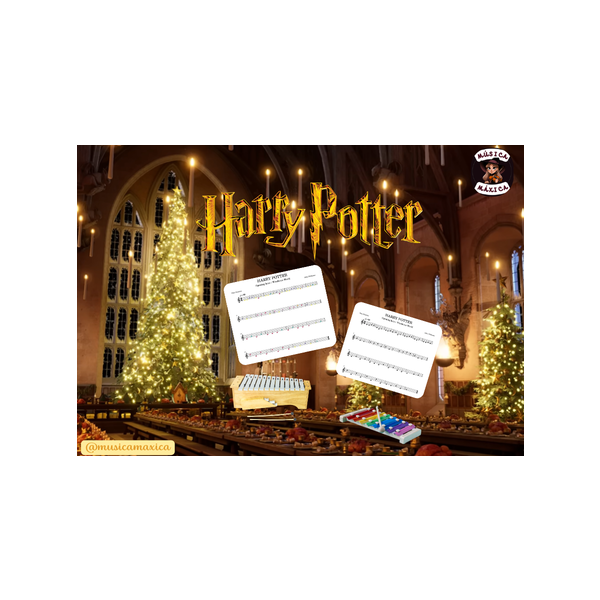 Harry Potter flauta/placas