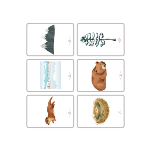 JOC DE CARTES HIVERNAL PER TORNAR A LA CALMA