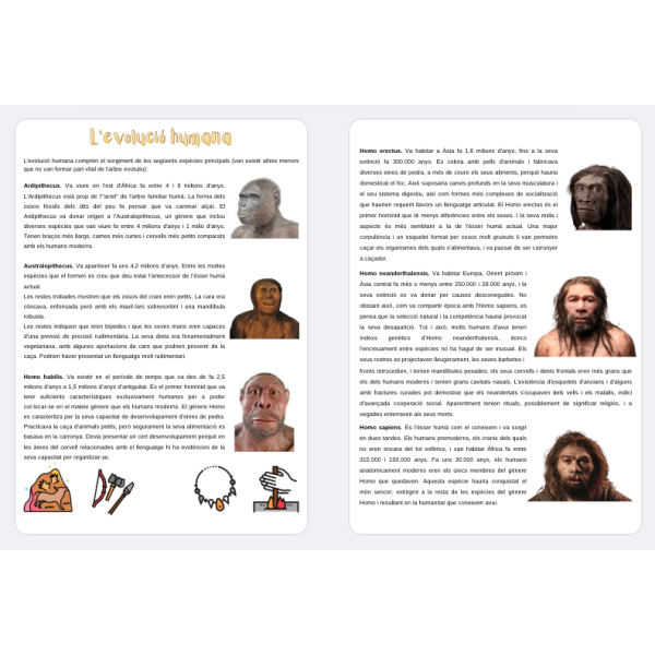 Projecte Prehistòria i Edat Antiga