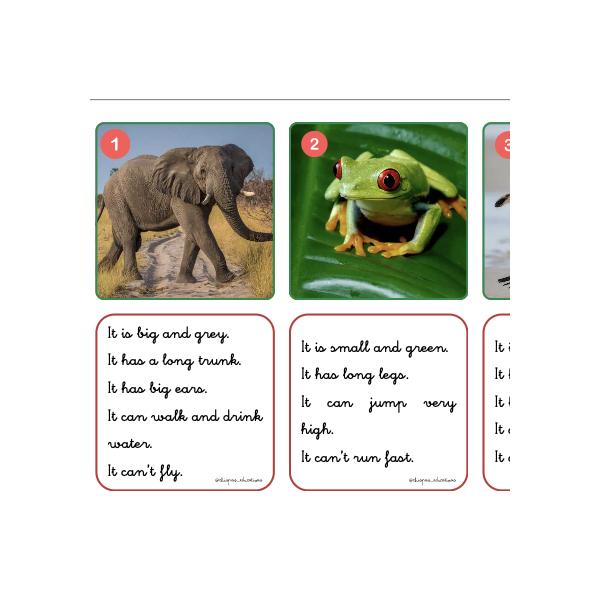 Animals descriptions