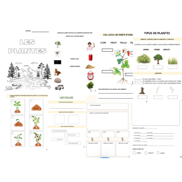 LES PLANTES PROJECTE