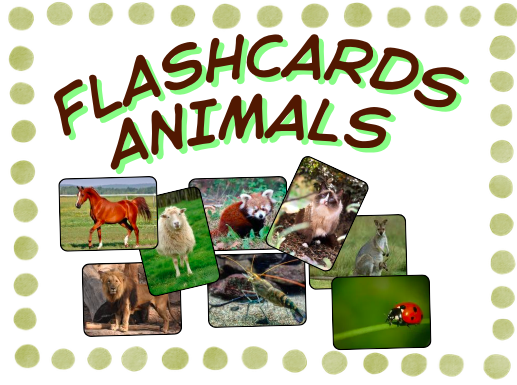 FLSHCARDS ANIMALS