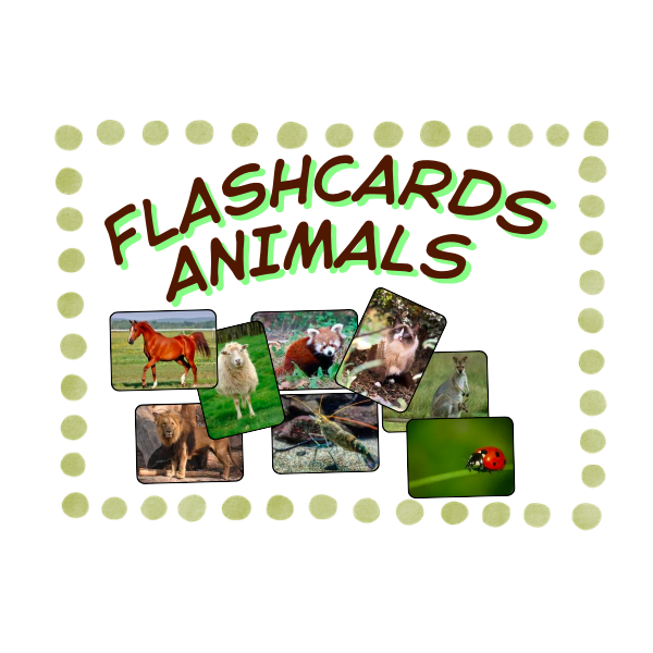 FLSHCARDS ANIMALS
