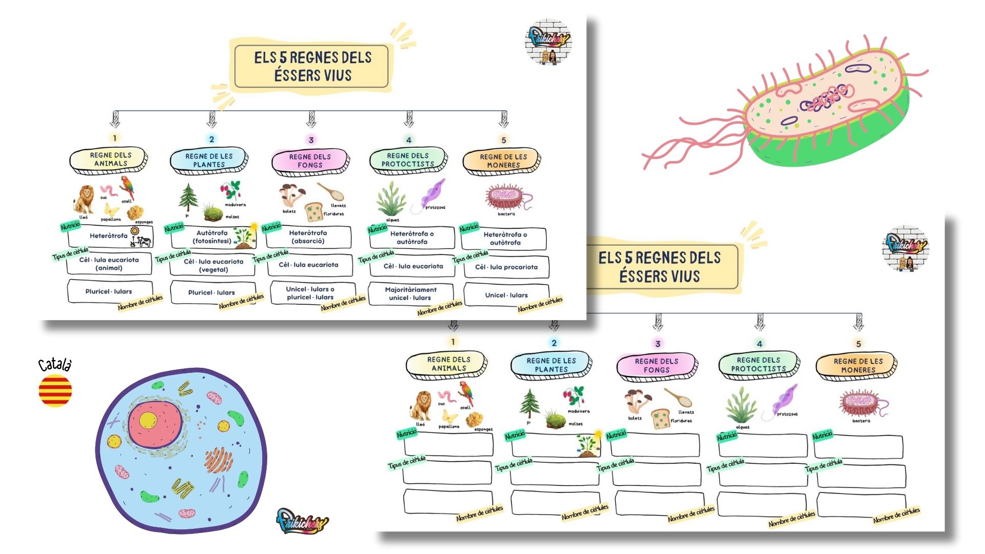ESQUEMA REGNES DELS ÉSSERS VIUS