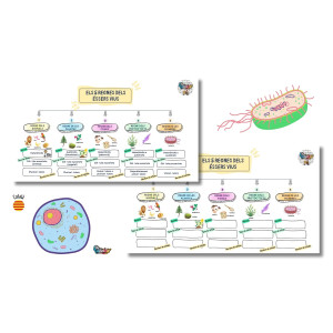 ESQUEMA REGNES DELS ÉSSERS VIUS