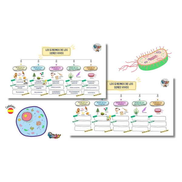 ESQUEMA REGNES DELS ÉSSERS VIUS