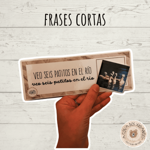 Frases cortas - Comprensión lectora