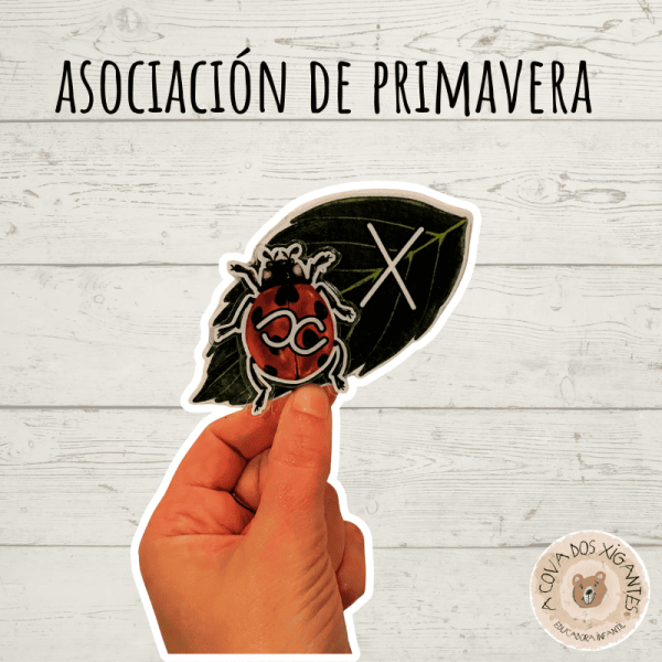 Asociación de primavera  - Mayúsculas/minúsculas