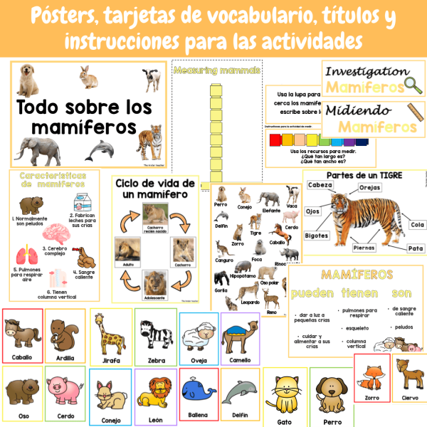 Todo sobre los mamíferos - Conocimiento del medio