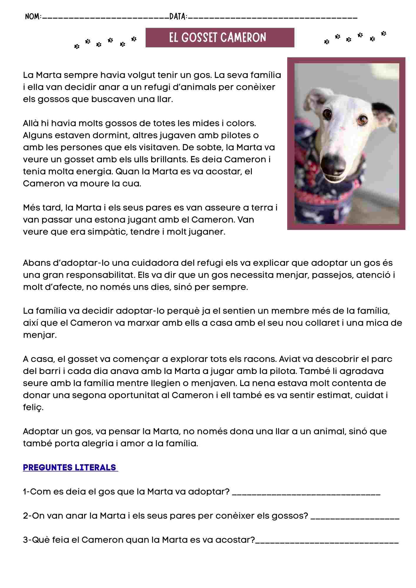 Comprensió lectora: El gosset Cameron