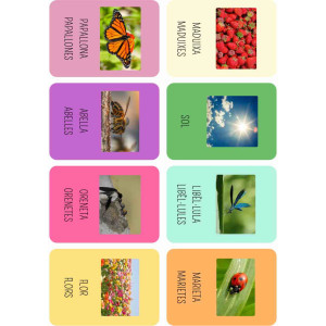 Vocabulari Primavera