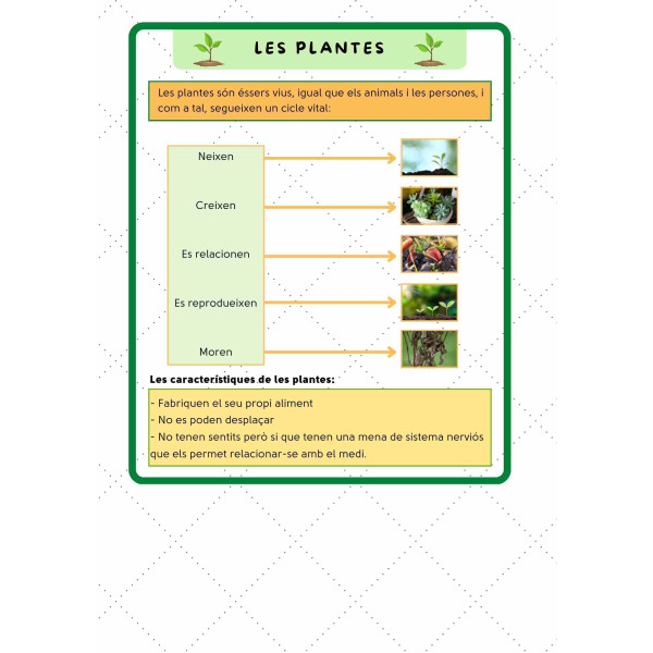 Les plantes