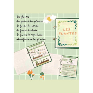 Les plantes