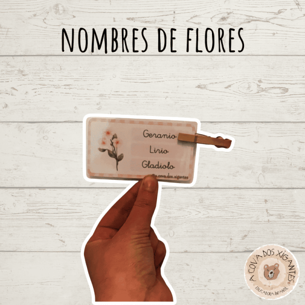 Nombres de flores - Palabra correcta