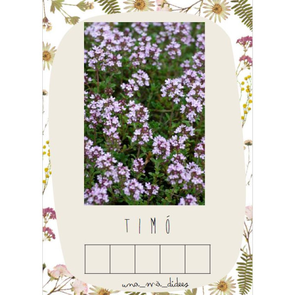 Picar sil·labes primavera