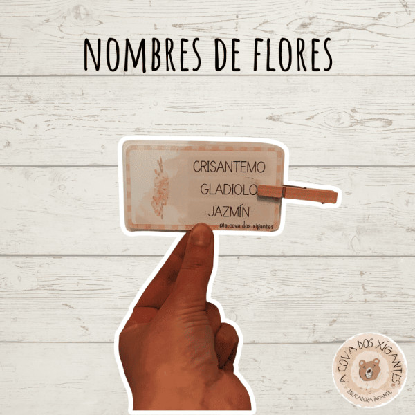 Nombres de flores - Palabra correcta
