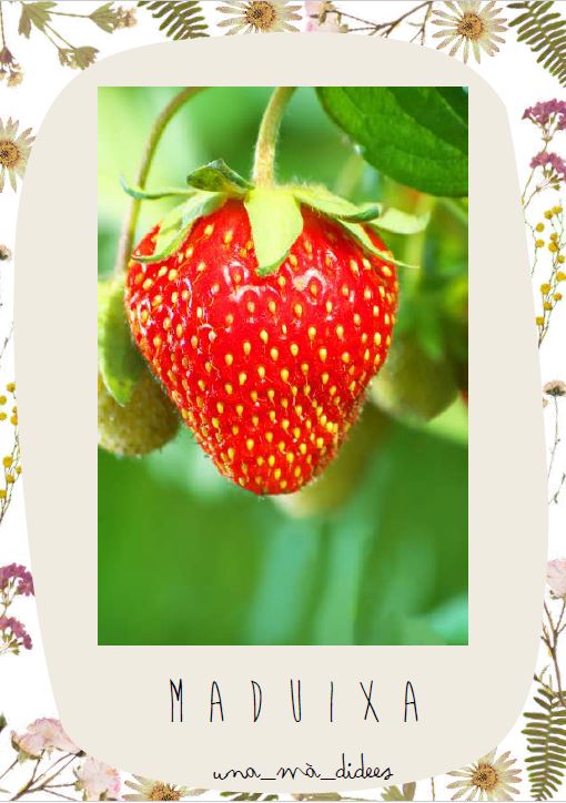 Vocabulari primavera