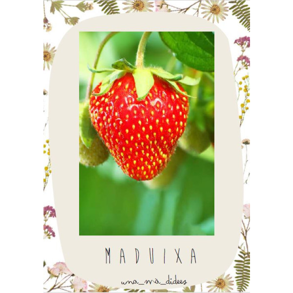 Vocabulari primavera