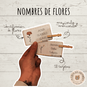 Nombres de flores - Palabra correcta