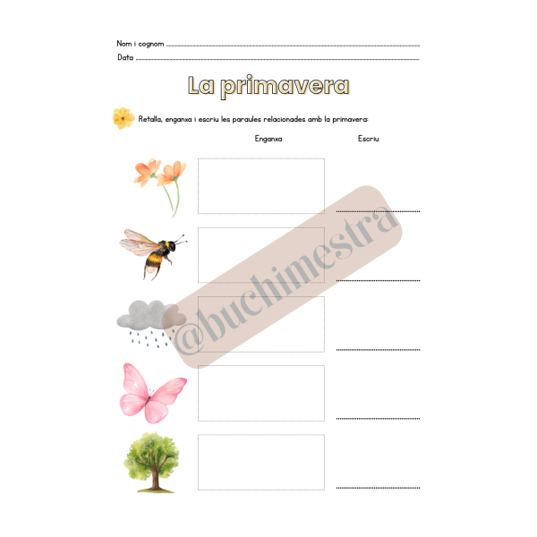 Vocabulari primavera