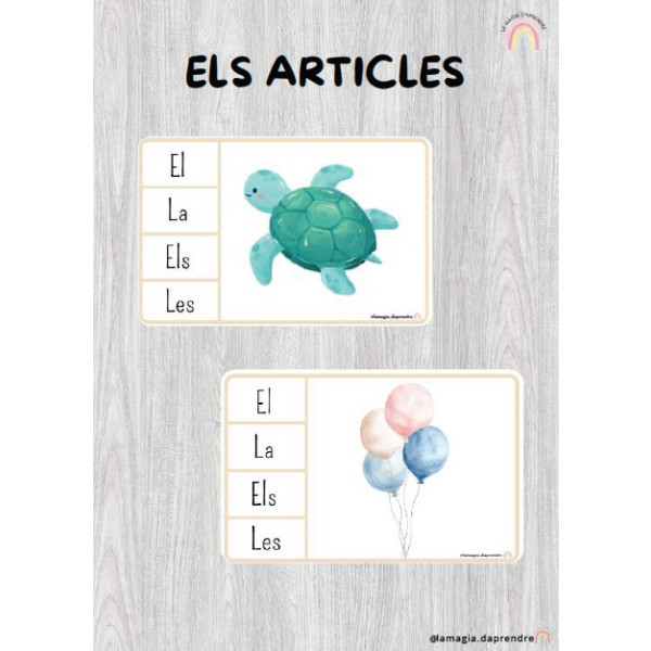 Els articles