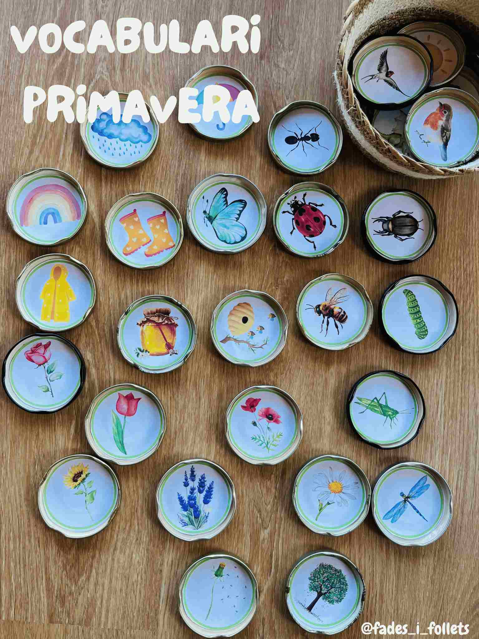 VOCABULARI PRIMAVERA