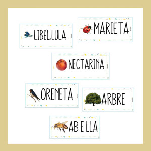 VOCABULARI DE PRIMAVERA I BANDEROLES