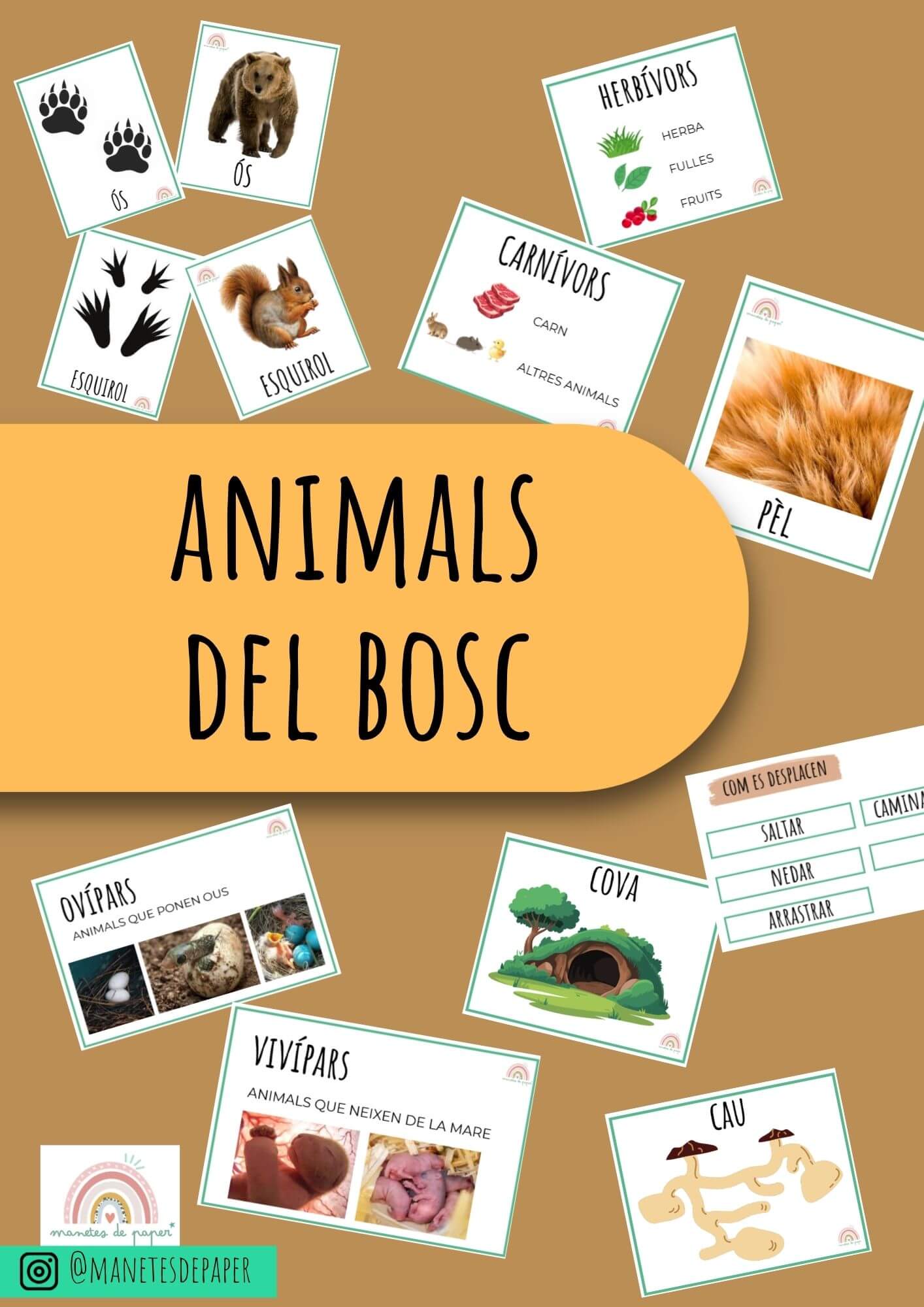 ANIMALS DEL BOSC