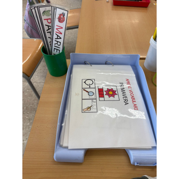 Aprenc vocabulari de primavera TEACCH