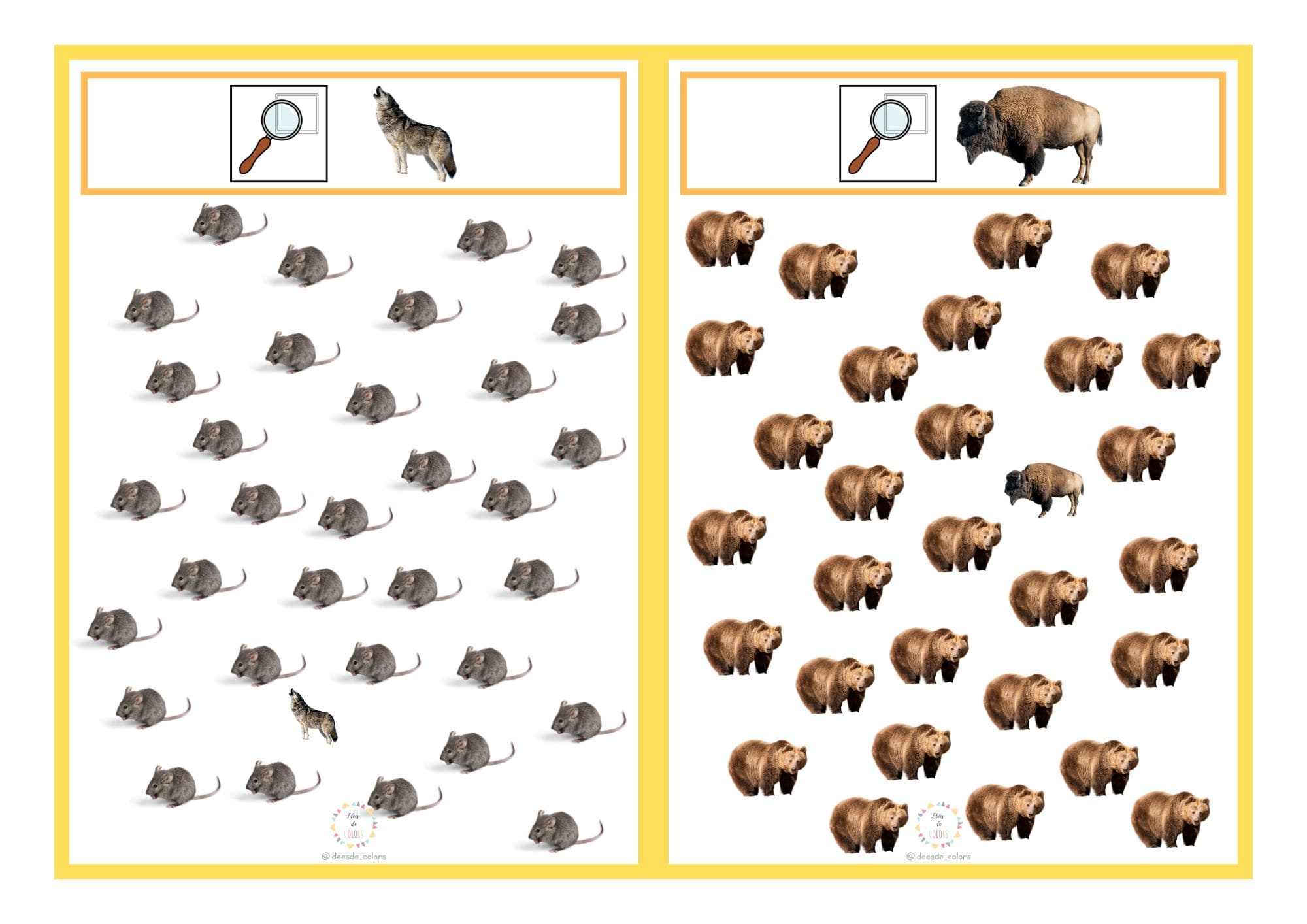 Discriminació visual