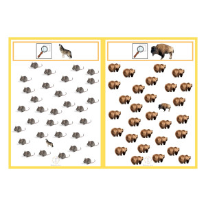 Discriminació visual