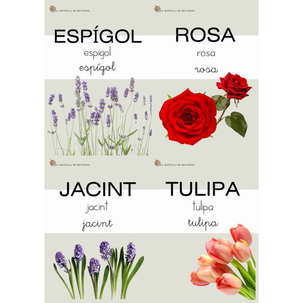 PRIMAVERA - targetes vocabulari