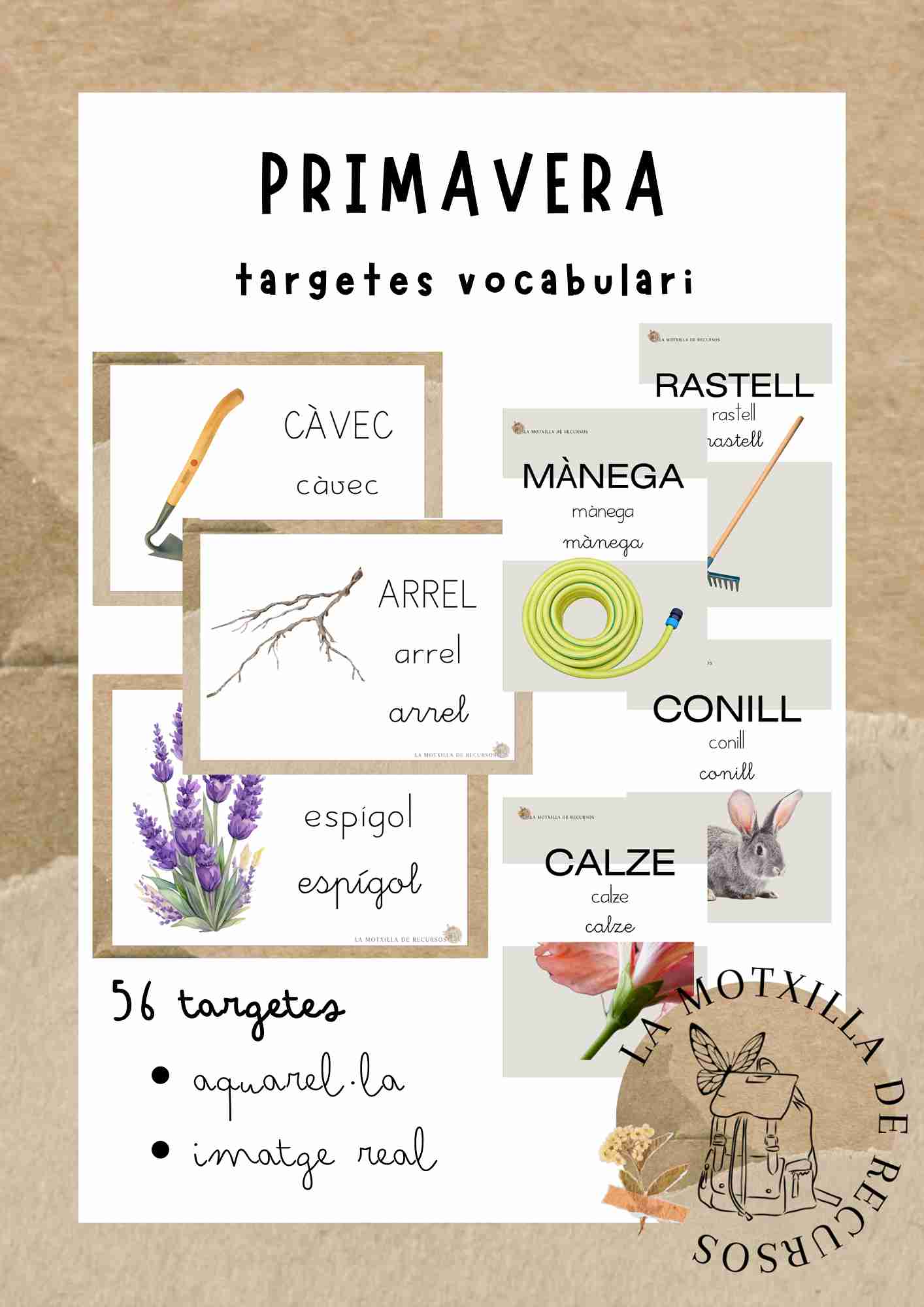 PRIMAVERA - targetes vocabulari