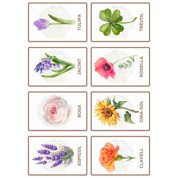 PRIMAVERA - MOSTRA. Targetes vocabulari