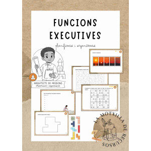 FUNCIONS EXECUTIVES - Planificació i organització