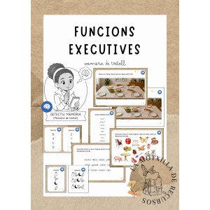 FUNCIONS EXECUTIVES - Memòria de treball