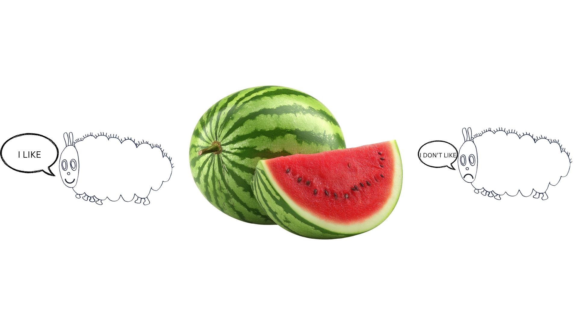 The very hungry caterpillar (primero de primaria)