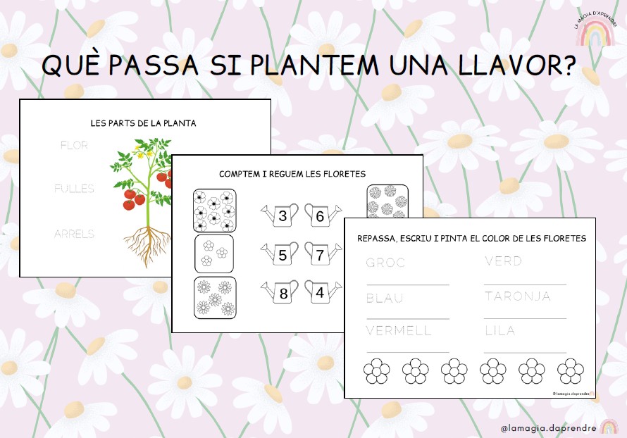 Projecte Les plantes