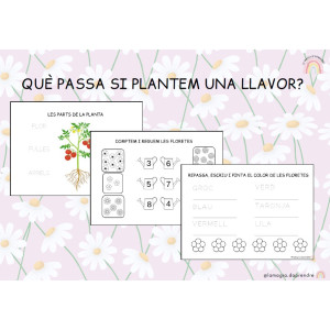 Projecte Les plantes