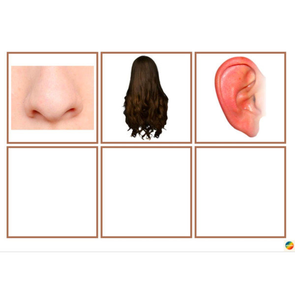 Asociar imagen con pictograma partes del cuerpo