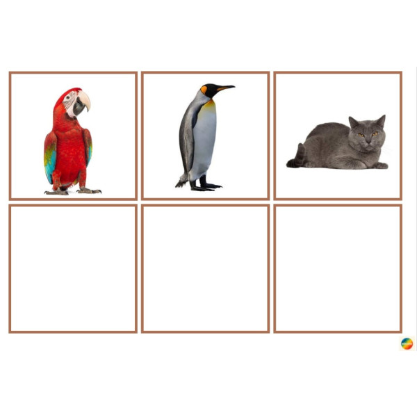 Associar imatge real- pictograma animals