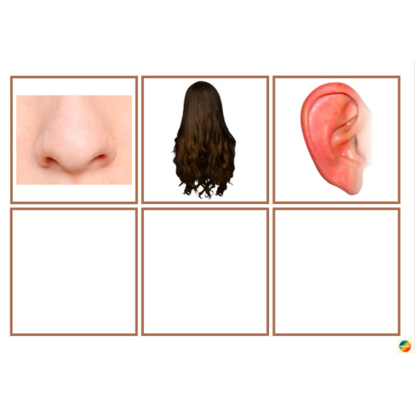 Associar imatge-pictograma parts del cos